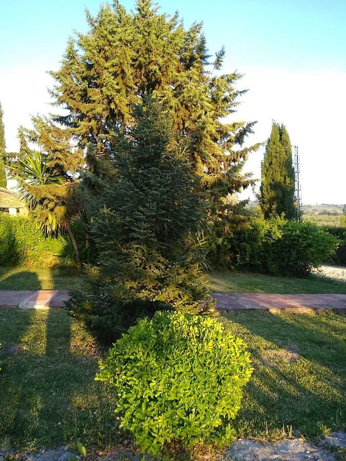 Дом отдыха Вилла Casa Lola Ронда